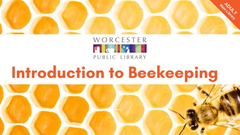 Introduction to Beekeeping - Downtown Worcester